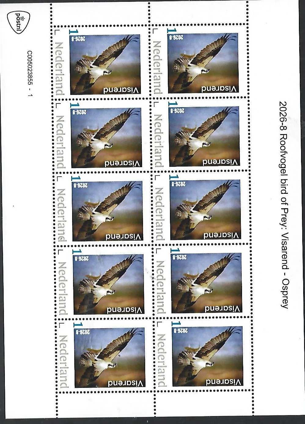 Netherlands 2026-8 Bird of prey: Osprey sheet MNH