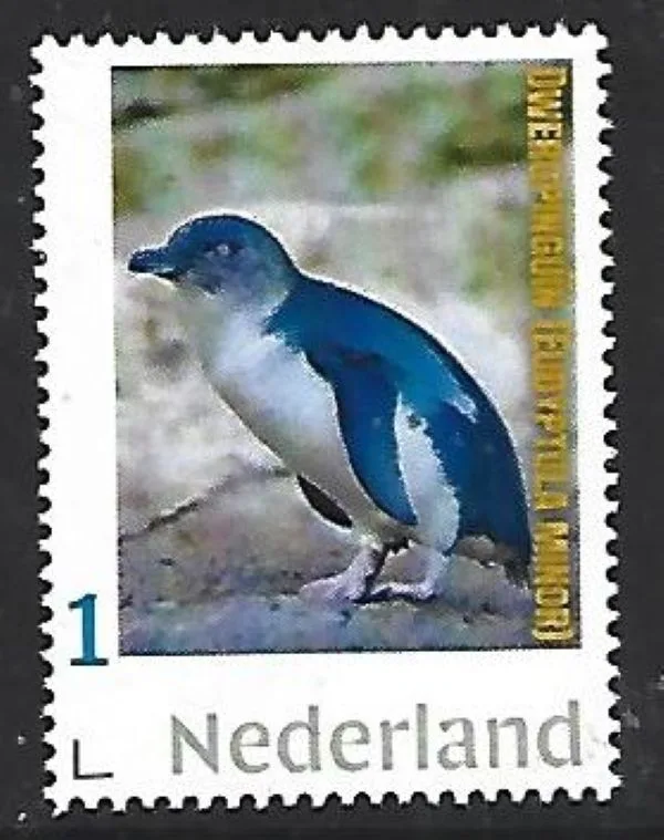 Netherlands 2026-6 Little-blue penguin MNH