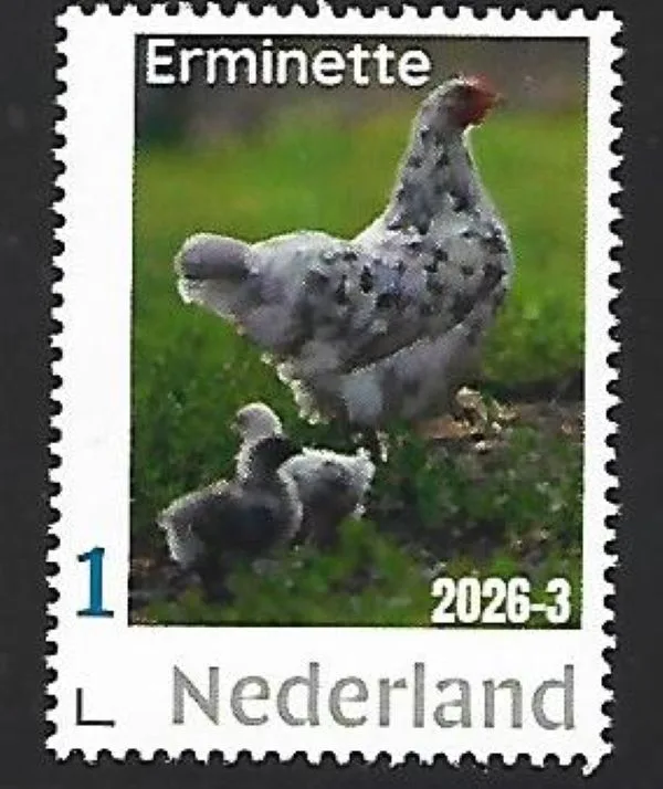 Nederland 2026-3 Kip Chicken: Erminette postfris/mnh