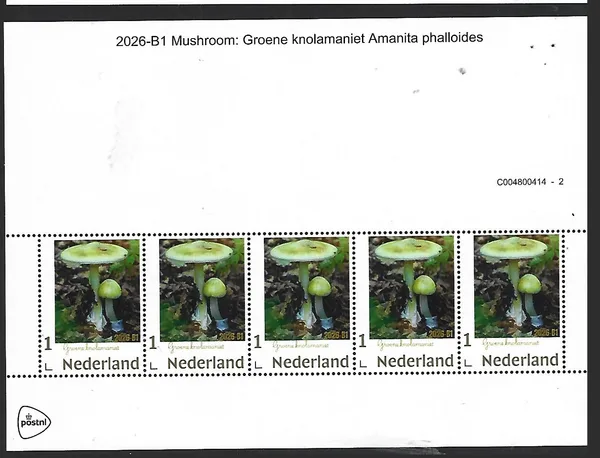 Nederland 2026-B1 Paddenstoel Mushroom: Gr.knolamaniet sheet postfris/mnh