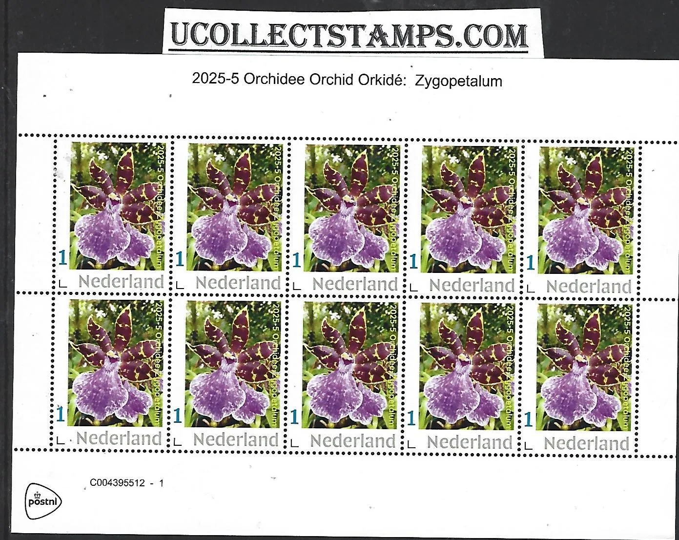 Netherlands 2025-5 Orchid: Zygopetalum sheetlet MNH