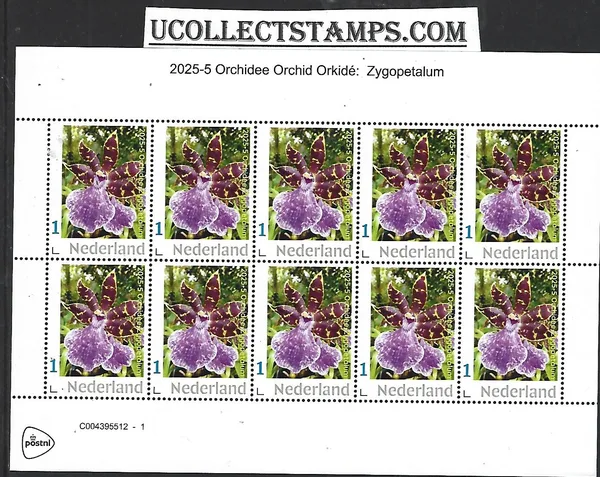 Nederland 2025-5 Orchidee Orchid: Zygopetalum sheetlet postfris/mnh