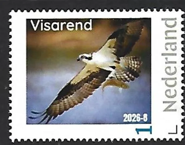 Netherlands 2026-8 Bird of Prey: Osprey MNH