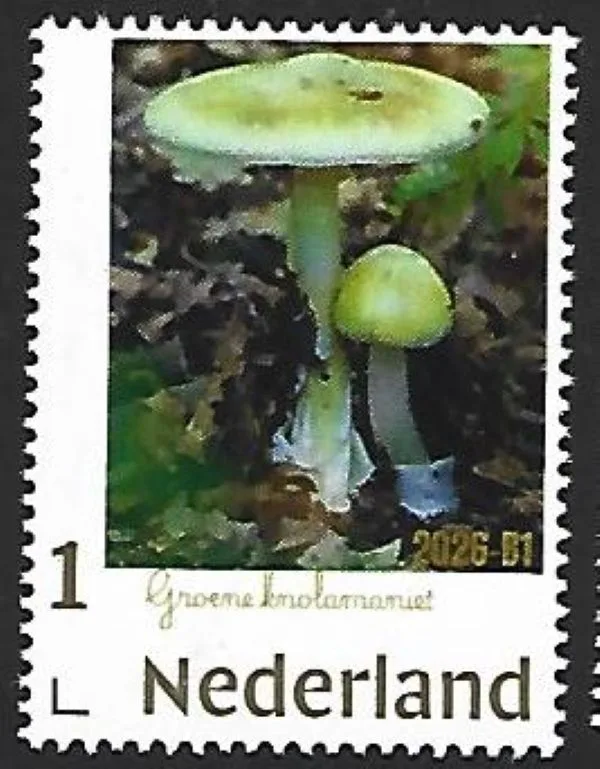 Nederland 2026-B1 Paddenstoel Mushroom: Gr.Knolamaniet postfris/mnh