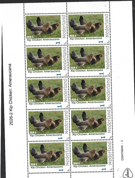 Nederland 2026-2 Kip Chicken: Ameraucana sheetlet postfris/mnh