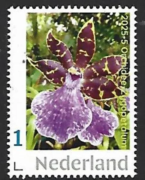 Netherlands 2025-5 Orchid: zygopetalum MNH