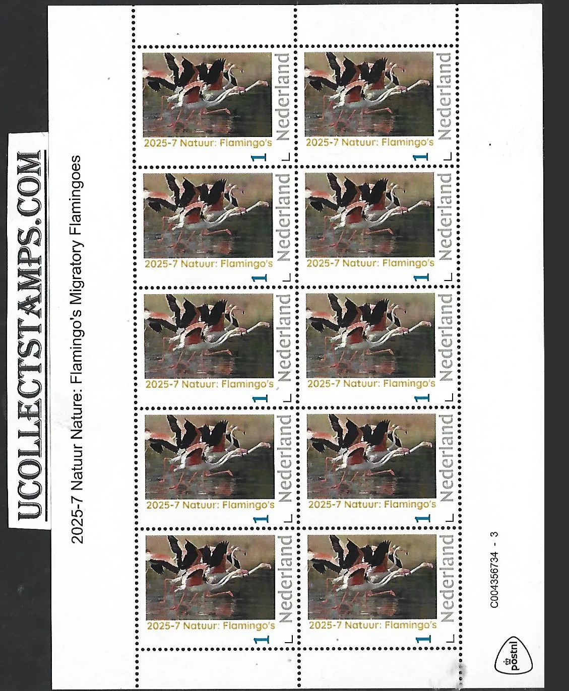 Netherlands 2025-7 Nature: Flamingo Migratory Flamingoes SHEET MNH