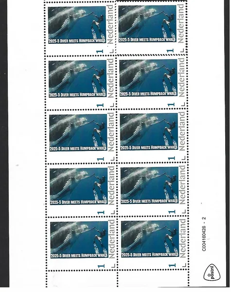 Nederland 2025-5 Duiker: Diver meets Humpback whale sheet postfris/mnh