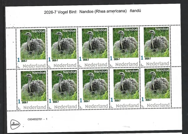 Netherlands 2026-7 Bird: Nandoe sheet MNH