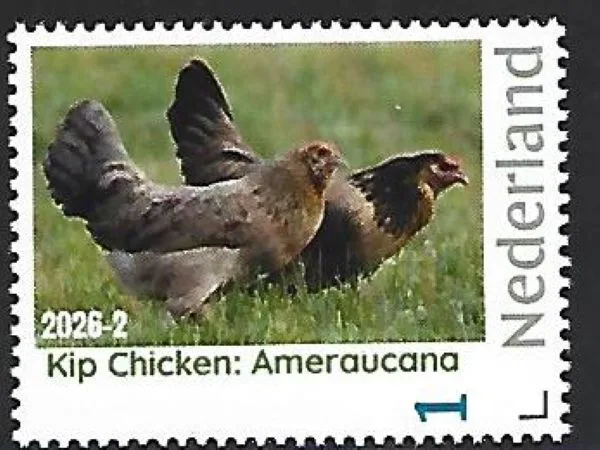 Netherlands 2026-2 Chicken: Ameraucana MNH