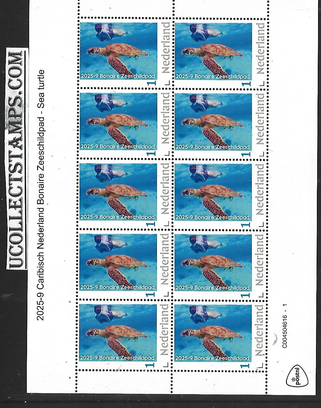 Nederland 2025-9 Caribisch Ned. Bonaire Zeeschildpad Sea turtle SHEET postfris/mnh