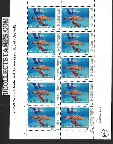 Nederland 2025-9 Caribisch Ned. Bonaire Zeeschildpad Sea turtle SHEET postfris/mnh