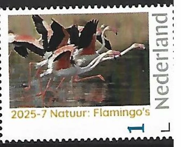 Netherlands 2025-7 Nature: Flamingo Migratory Flamingoes MNH
