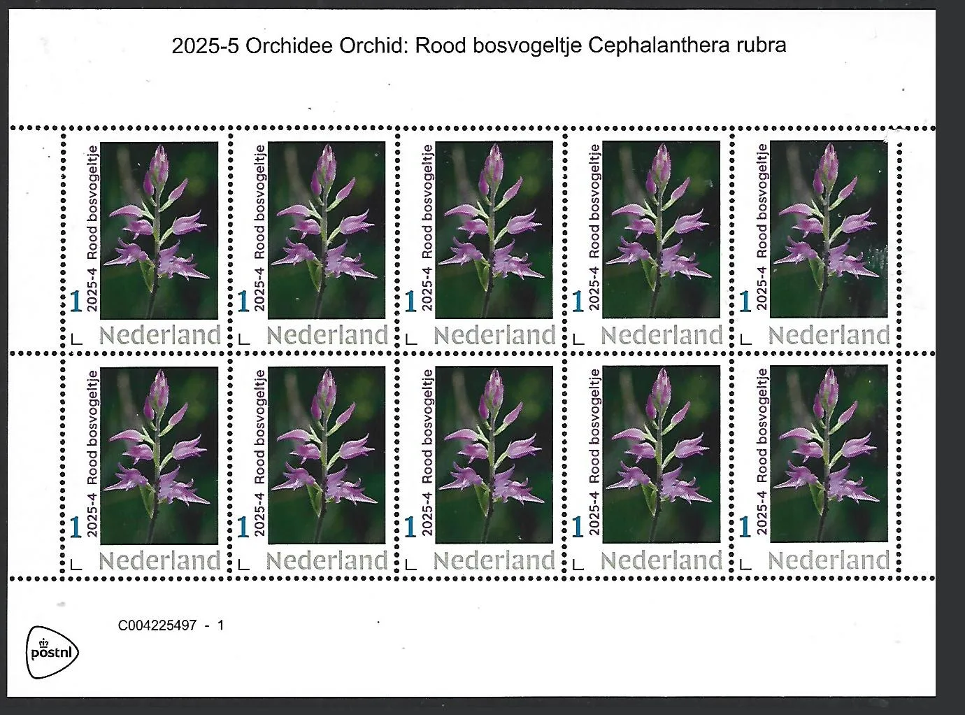 Nederland 2025-4a Orchidee orchid: Rood bosvogeltje sheetlet postfris/mnh