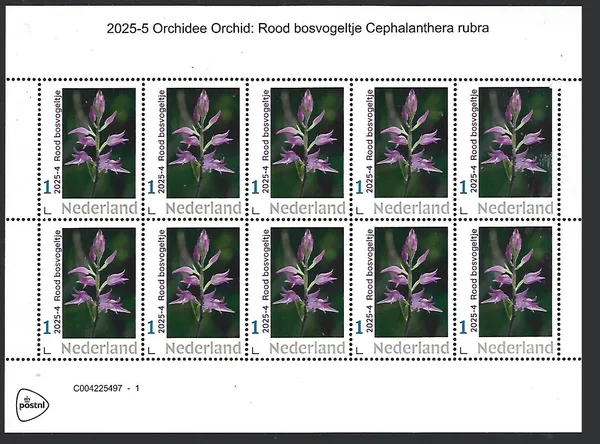 Netherlands 2025-4a Orchid: Red forest bird sheetlet MNH