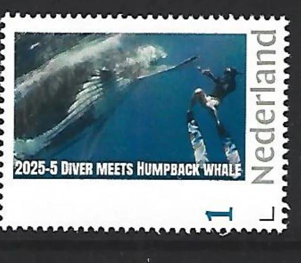 Nederland 2025-5 Duiker: Diver meets Humpback whale postfris/mnh