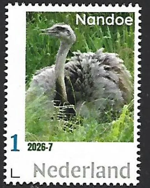 Netherlands 2026-7 Bird: Nandoe MNH