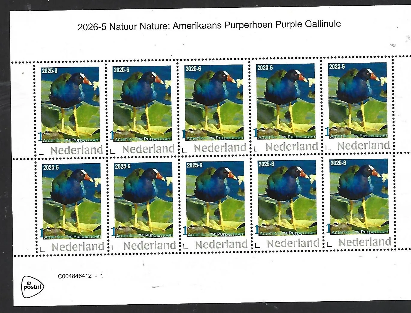 Netherlands 2025-6a Nature: Purple Gallinule bird sheet MNH