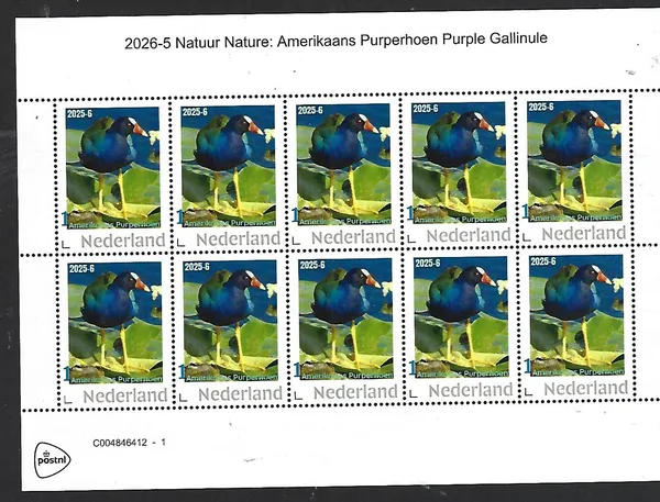 Netherlands 2025-6a Nature: Purple Gallinule bird sheet MNH