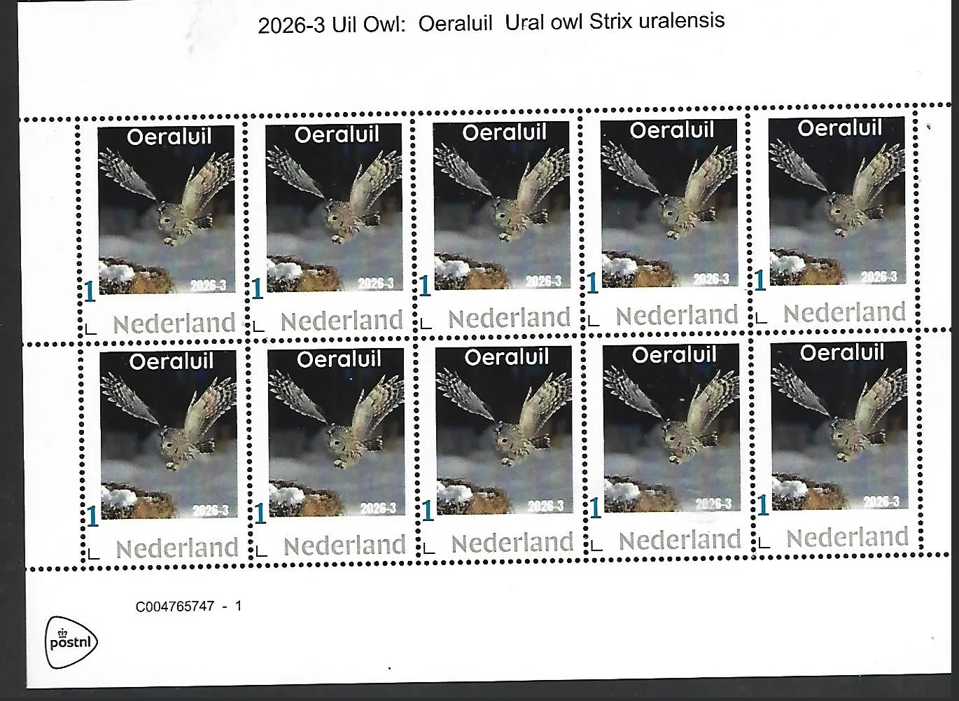 Netherlands 2026-3 Owl: Ural owl sheet MNH