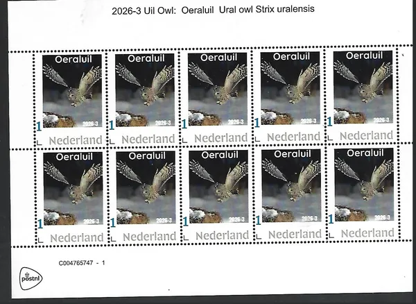 Nederland 2026-3 Uil owl: Oeraluil Ural owl sheet postfris/mnh