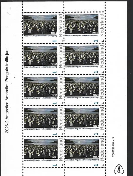 Nederland 2026-2 Antarctica Antarctic: Pinguïn Penguins traffic jam sheet postfris/mnh