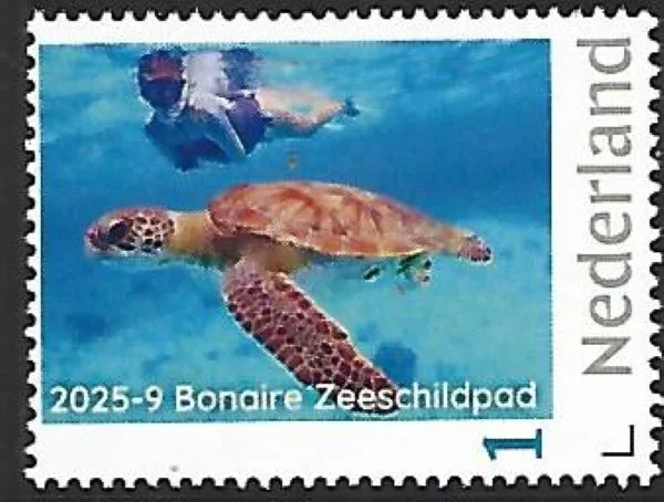 Netherlands 2025-9 Caribbean Netherlands Bonaire Sea turtle MNH