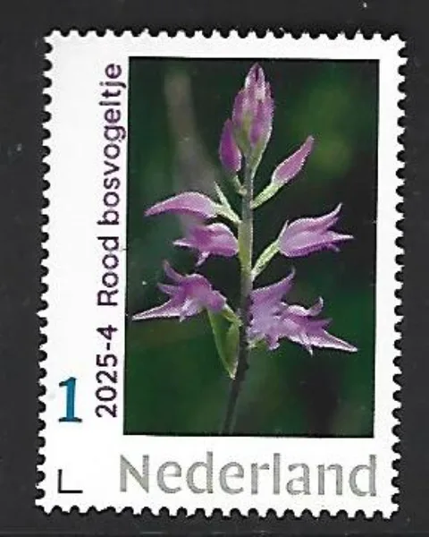 Netherlands 2025-4a Orchid: Red forest bird MNH