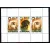 48 Dogs block 1976 MNH