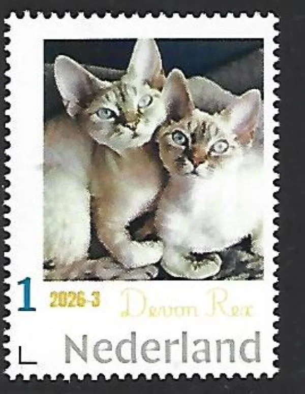 Nederland 2026-3 Kat Cat: Devon rex sheet postfris/mnh