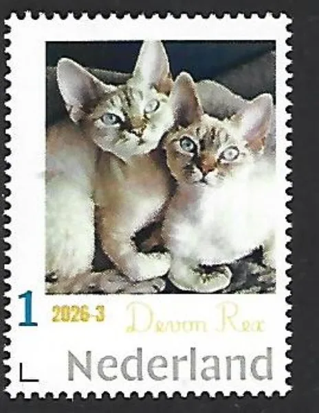 Nederland 2026-3 Kat Cat: Devon rex sheet postfris/mnh