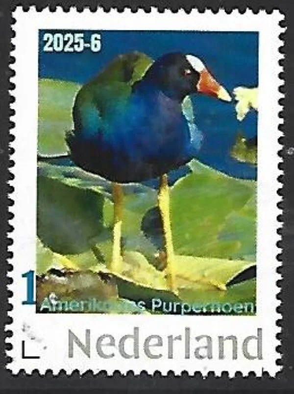 Netherlands 2025-6a Nature: Purple Gallinule bird MNH