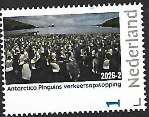Nederland 2026-2 Antarctica Antarctic: Pinguïn Penguins traffic jam postfris/mnh