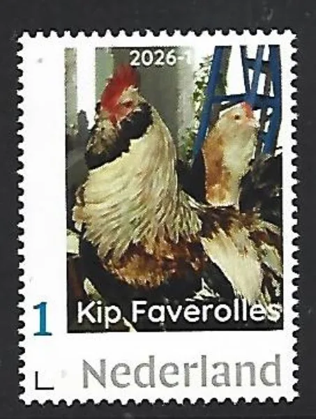 Netherlands 2026-1 Chicken: Faverolles MNH