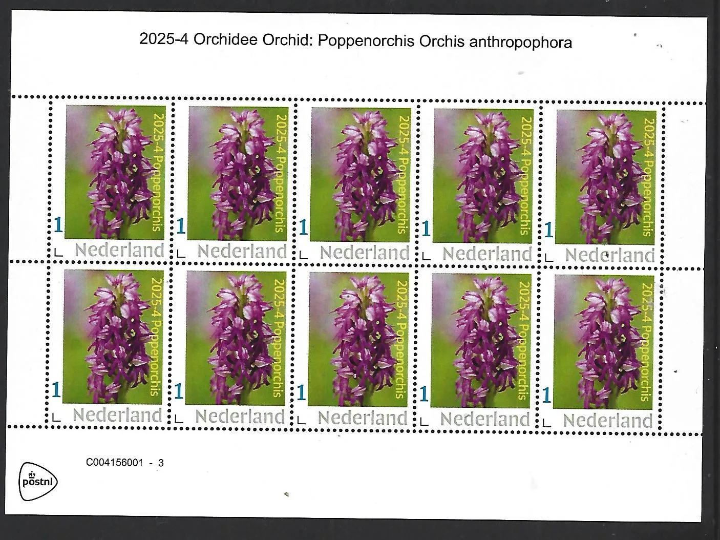 Netherlands 2025-4 Orchid: Poppenorchis sheet MNH