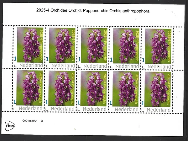 Netherlands 2025-4 Orchid: Poppenorchis sheet MNH