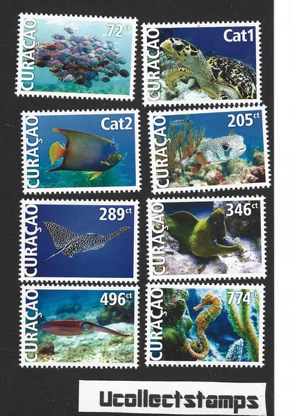 Curacao 2022 Zeeleven - Sealife vissen fish postfris/mnh