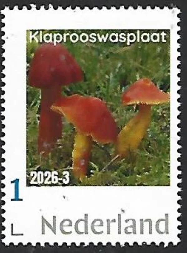 Netherlands 2026-3 Mushroom: Poppy wax plate MNH