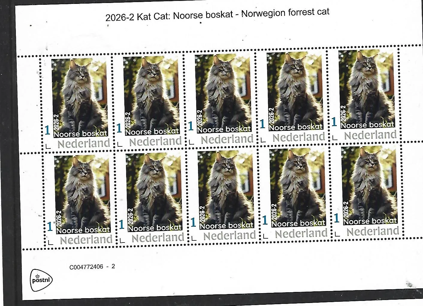 Nederland 2026-2 Kat Cat: Noorse Boskat Norwegian forest cat sheet postfris/mnh