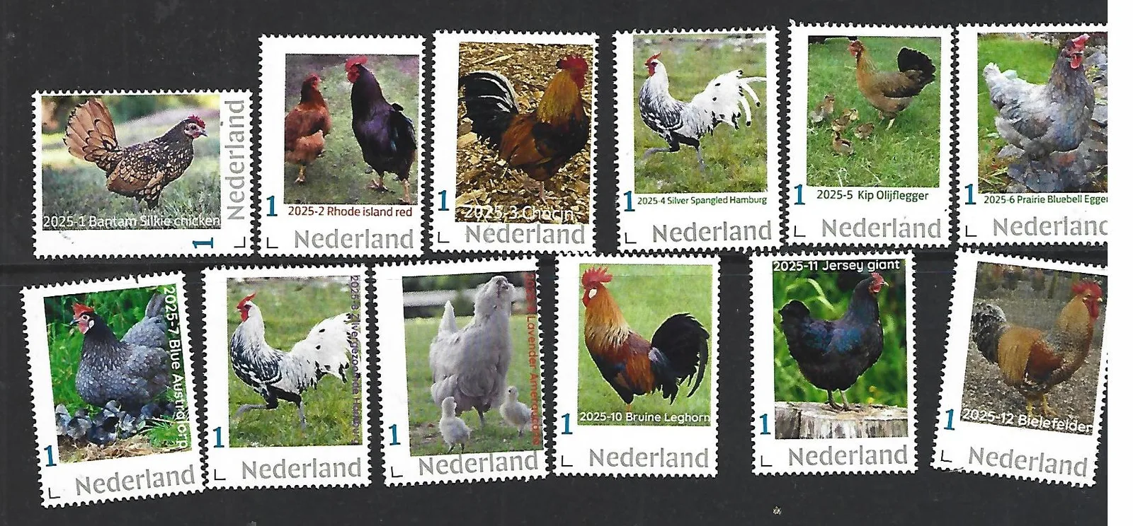 Nederland 2025 Kip Chicken Yearset 1-12 postfris/mnh