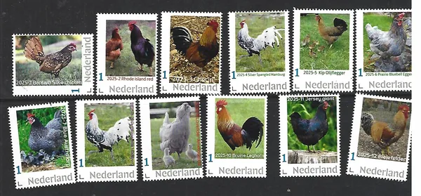 Netherlands 2025 Chicken Yearset 1-12 MNH