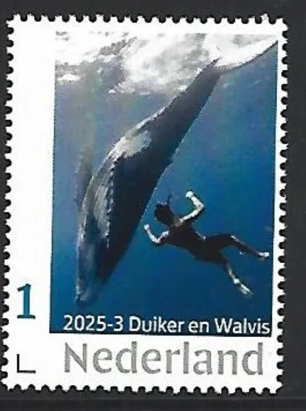 Nederland 2025-3 Duiker Walvis: Diver Humbackwhale postfris/mnh