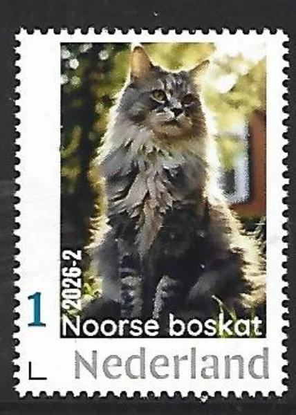 Nederland 2026-2 Kat Cat: Noorse Boskat Norwegian forest cat postfris/mnh