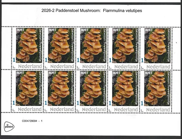 Nederland 2026-2 Paddenstoel Mushroom: Flammulina velutipes sheet postfris/mnh