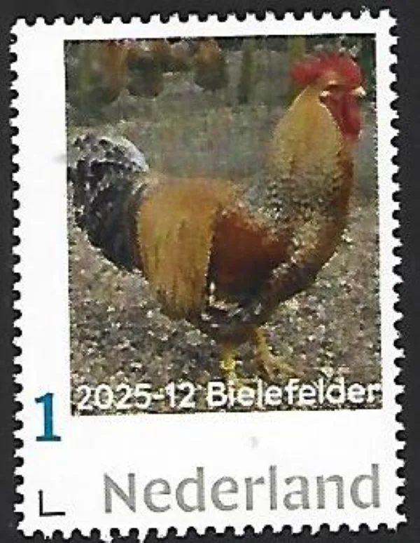 Nederland 2025-12 Kip Chicken: Bielefelder sheetlet postfris/mnh