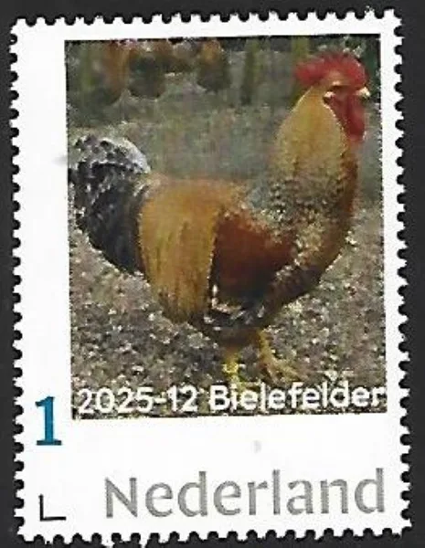 Netherlands 2025-12 Chicken: Bielefelder sheetlet MNH