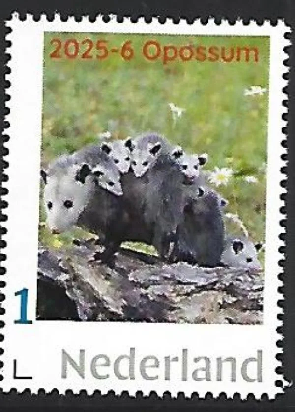 Nederland 2025-6 Natuur Nature: Opossum postfris/mnh