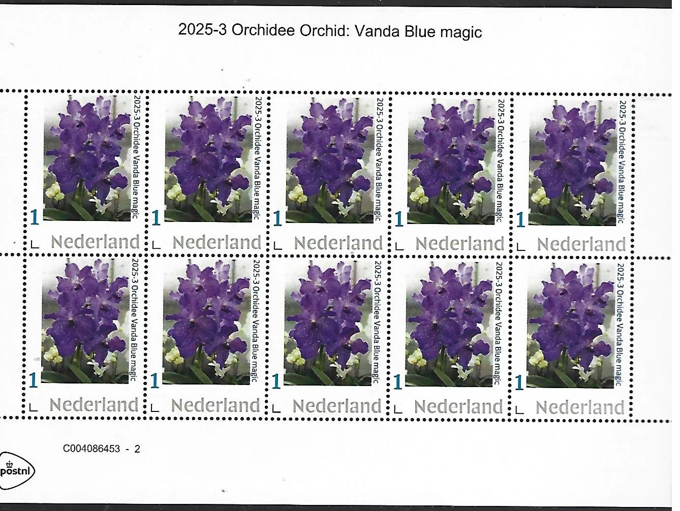 Netherlands 2025-3 Vanda Blue magic sheetlet MNH