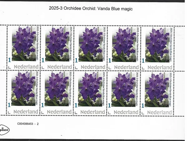 Netherlands 2025-3 Vanda Blue magic sheetlet MNH