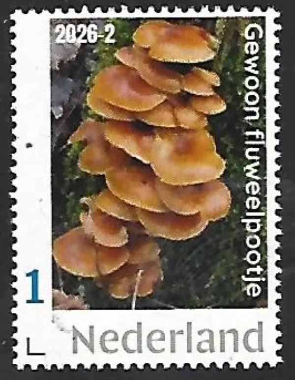 Netherlands 2026-2 Mushroom: Flammulina velutipes MNH